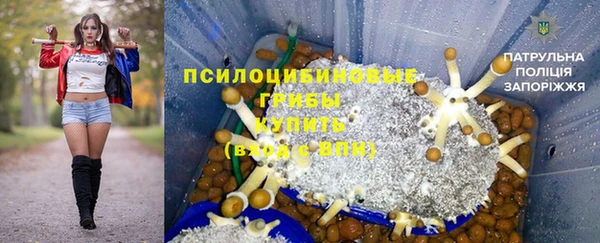СК Дедовск